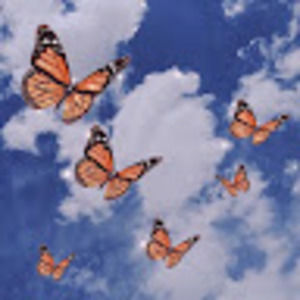 Meet your Posher, Jordyn